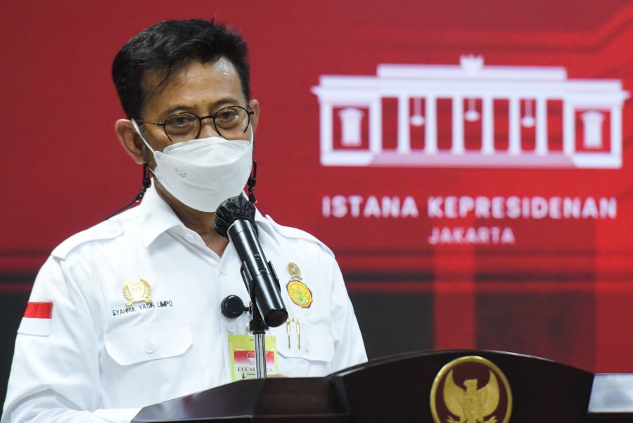 Mentan Syahrul Yasin Limpo akan Maksimalkan Produksi Sarang Burung Walet dan Porang