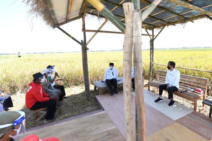 Presiden Jokowi Tinjau Panen Padi di Wanasari, Indramayu dan Dengarkan Keluhan Masyarakat